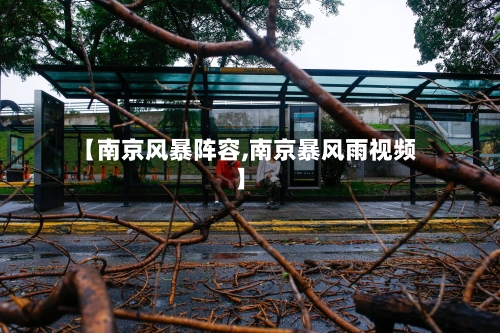 【南京风暴阵容,南京暴风雨视频】-第2张图片