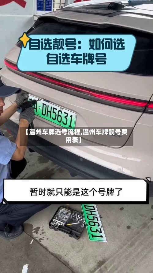 【温州车牌选号流程,温州车牌靓号费用表】-第2张图片