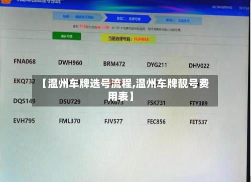 【温州车牌选号流程,温州车牌靓号费用表】-第3张图片