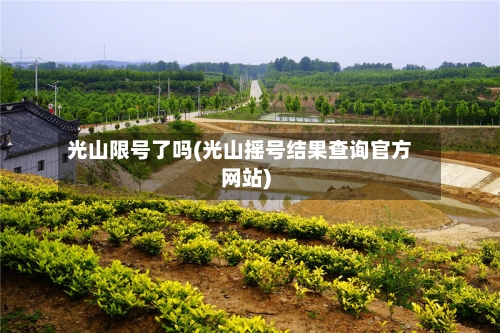 光山限号了吗(光山摇号结果查询官方网站)-第2张图片