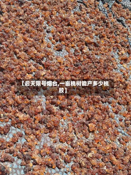 【后天限号烟台,一亩桃树能产多少桃胶】
