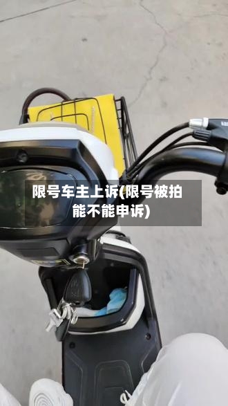 限号车主上诉(限号被拍能不能申诉)-第2张图片