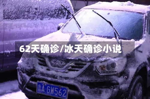 62天确诊/冰天确诊小说-第3张图片
