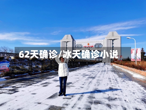 62天确诊/冰天确诊小说-第2张图片