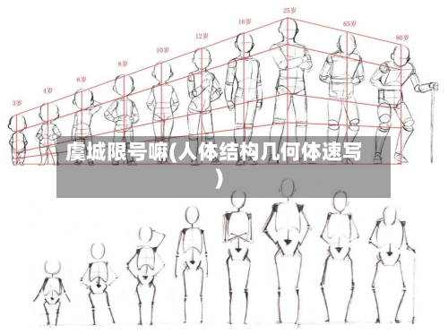 虞城限号嘛(人体结构几何体速写)