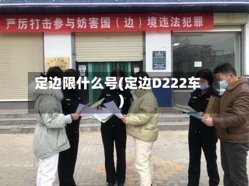 定边限什么号(定边D222车)