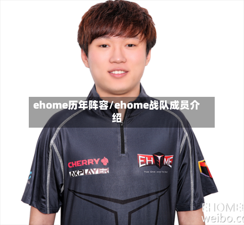 ehome历年阵容/ehome战队成员介绍