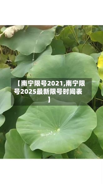 【南宁限号2021,南宁限号2025最新限号时间表】