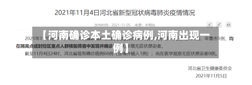 【河南确诊本土确诊病例,河南出现一例】-第2张图片