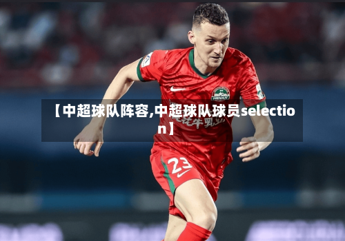 【中超球队阵容,中超球队球员selection】-第3张图片