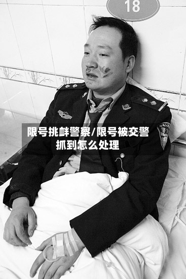 限号挑衅警察/限号被交警抓到怎么处理-第3张图片