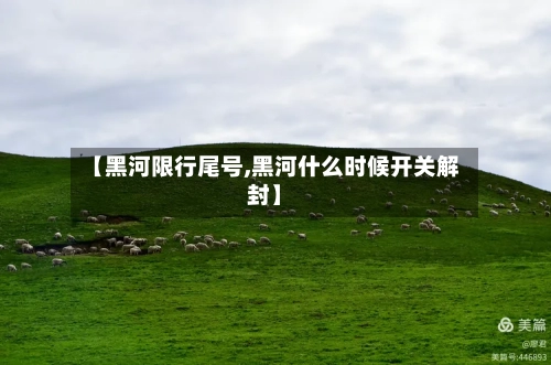 【黑河限行尾号,黑河什么时候开关解封】-第2张图片
