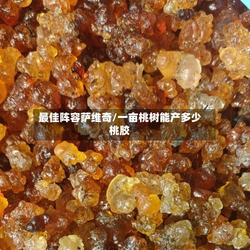 最佳阵容萨维奇/一亩桃树能产多少桃胶