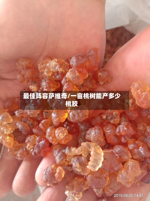 最佳阵容萨维奇/一亩桃树能产多少桃胶-第2张图片