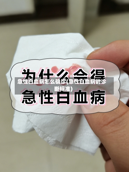 急性白血病怎么确诊(急性白血病的诊断标准)