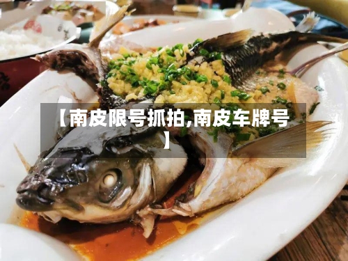 【南皮限号抓拍,南皮车牌号】-第2张图片
