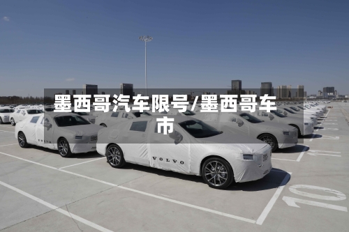 墨西哥汽车限号/墨西哥车市