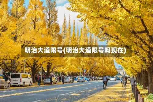 明治大道限号(明治大道限号吗现在)