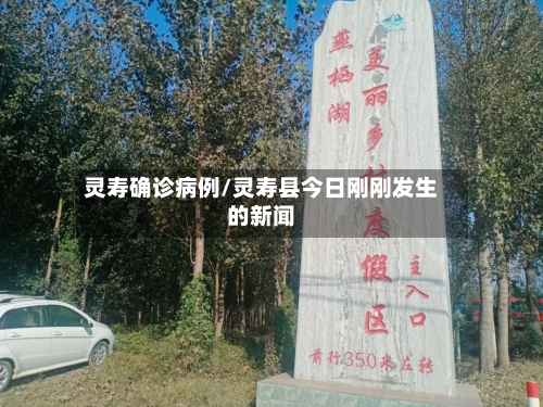 灵寿确诊病例/灵寿县今日刚刚发生的新闻-第2张图片