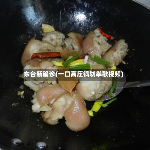 东台新确诊(一口高压锅划拳歌视频)