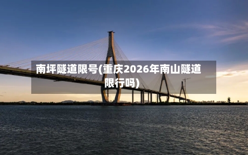 南坪隧道限号(重庆2026年南山隧道限行吗)-第3张图片