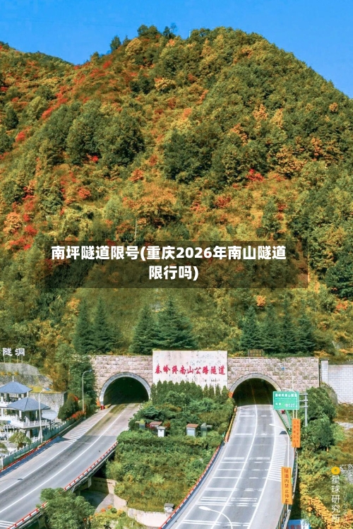 南坪隧道限号(重庆2026年南山隧道限行吗)