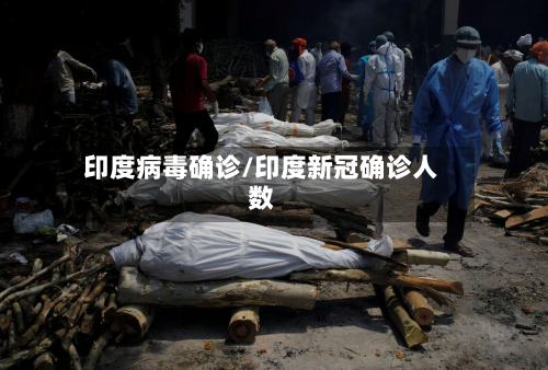 印度病毒确诊/印度新冠确诊人数-第2张图片