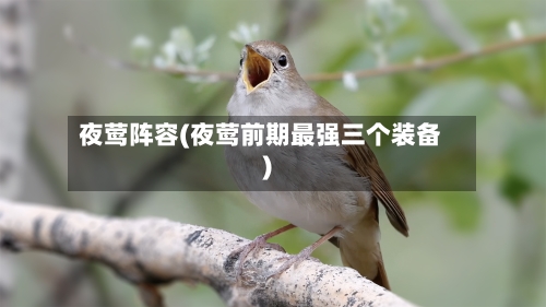 夜莺阵容(夜莺前期最强三个装备)-第2张图片