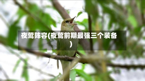 夜莺阵容(夜莺前期最强三个装备)