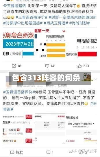 包含313阵容的词条-第2张图片