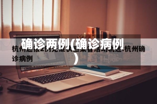 确诊两例(确诊病例)