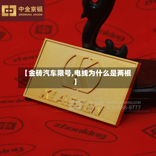 【金砖汽车限号,电线为什么是两根】