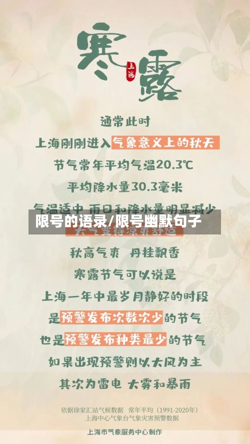 限号的语录/限号幽默句子