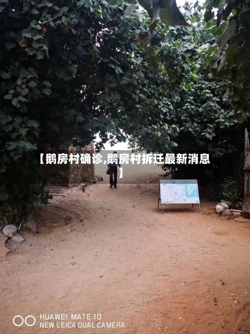 【鹅房村确诊,鹅房村拆迁最新消息】-第2张图片