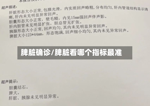 脾脏确诊/脾脏看哪个指标最准