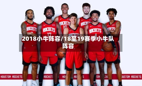2018小牛阵容/18至19赛季小牛队阵容