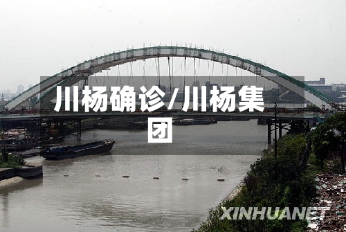 川杨确诊/川杨集团