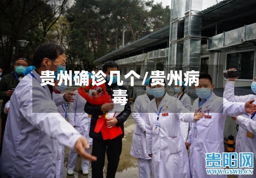贵州确诊几个/贵州病毒-第3张图片