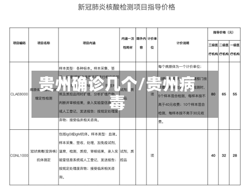 贵州确诊几个/贵州病毒-第2张图片