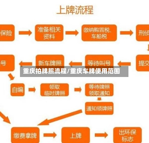 重庆拍牌照流程/重庆车牌使用范围