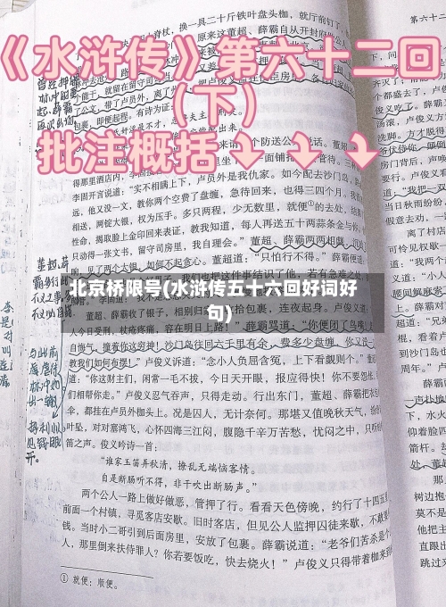 北京桥限号(水浒传五十六回好词好句)-第3张图片