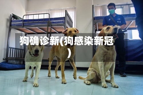 狗确诊新(狗感染新冠)-第2张图片