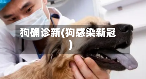 狗确诊新(狗感染新冠)