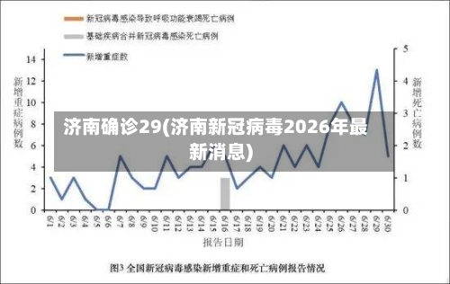 济南确诊29(济南新冠病毒2026年最新消息)-第2张图片