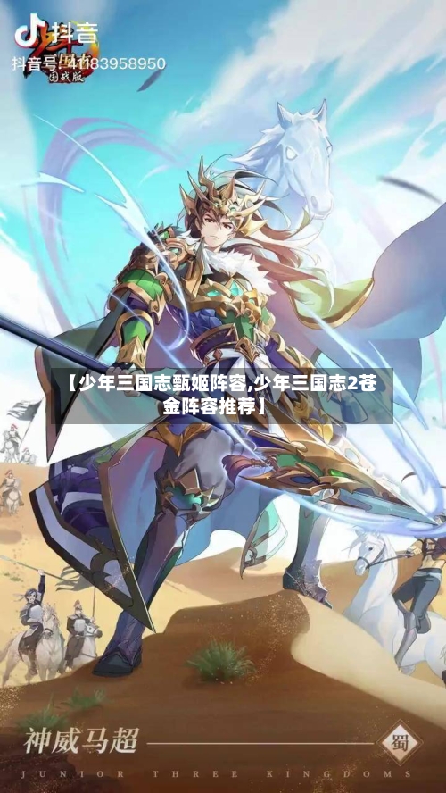 【少年三国志甄姬阵容,少年三国志2苍金阵容推荐】