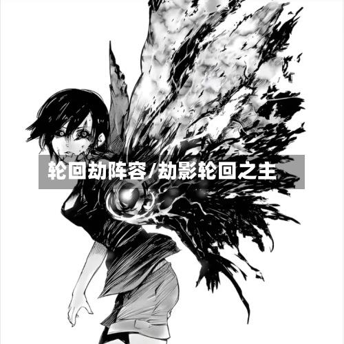 轮回劫阵容/劫影轮回之主