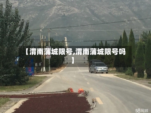 【渭南蒲城限号,渭南蒲城限号吗】