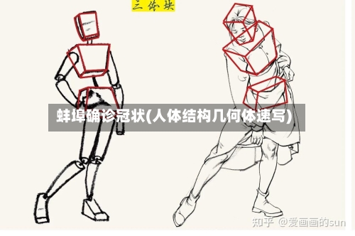 蚌埠确诊冠状(人体结构几何体速写)