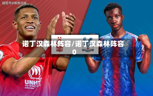诺丁汉森林阵容/诺丁汉森林阵容0-第3张图片