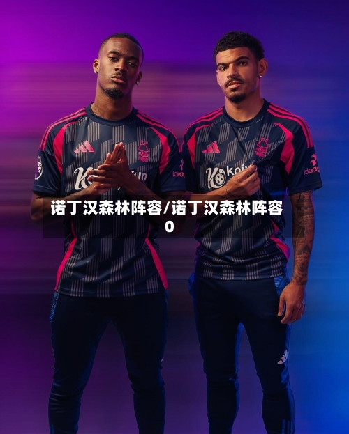 诺丁汉森林阵容/诺丁汉森林阵容0